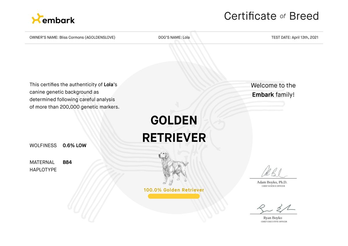 Embark Certificate of Breed for Lola, owner Bliss Cormons, test date April 13th 2021: 100.0% Golden Retriever