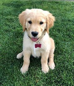 Charlie